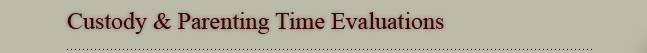 Custody & Parenting Time Evaluations